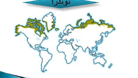 پاورپوینت آشنایی با اکولوژی محیطهای مختلف ( بیوم ها )