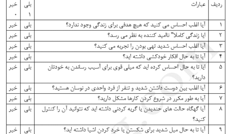پرسشنامه مقیاس شخصیتی مرزی (STB)