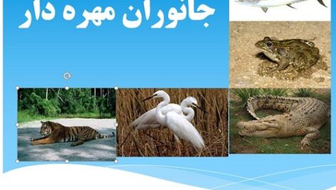 پاورپوینت مهره داران سوم ابتدایی