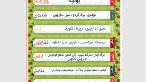 طرح بنر خواص عرقیات گیاهی psd