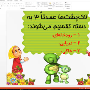 پاورپوینت درباره لاک پشت ها در 22 اسلاید