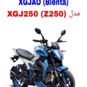 نقشه سیم کشی موتورسیکلت های XGJAO XGJ250 (بلنتا Blenta Z250)