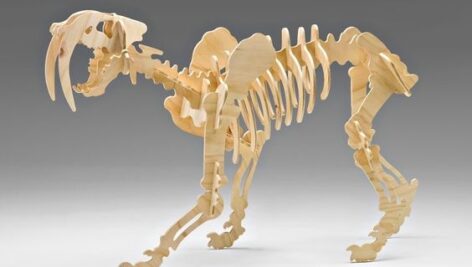 طرح معرق دایناسور دندان شمشیری-Saber Tooth