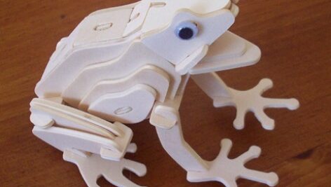 طرح معرق قورباغه – frog-puzzle