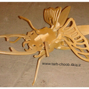 طرح معرق  مگس
