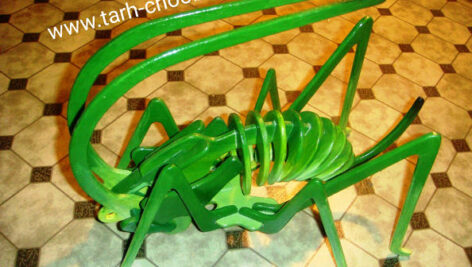 طرح معرق ملخ