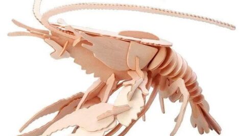 طرح معرق خرچنگ  _ Lobster