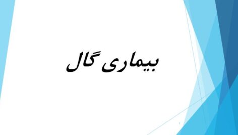 پاورپوینت بیماری گال