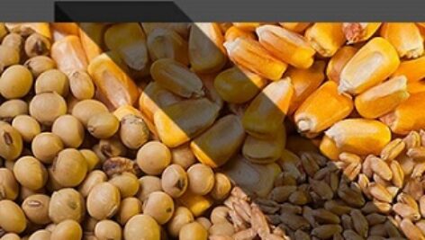 دانلود تغذیه و جیره نویسی دام و طیور بصورت فایل  pdf + نمونه سوال