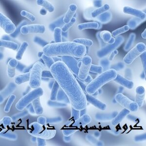 دانلود مقاله کروم سنسینگ در باکتری ها بصورت پاورپوینت
