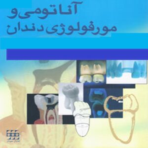 دانلود جزوه آناتومی ومرفولوژی دندان (پاورپوینت )