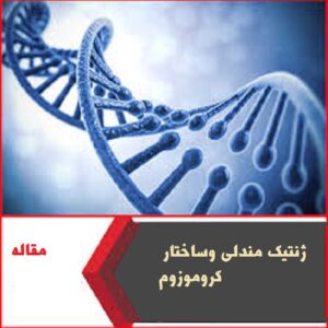 ژنتیک مندلی وساختار کروموزوم - دانلود مقاله