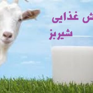 ارزش تغذیه ای ودرمانی شیر بز -مقاله به صورت word