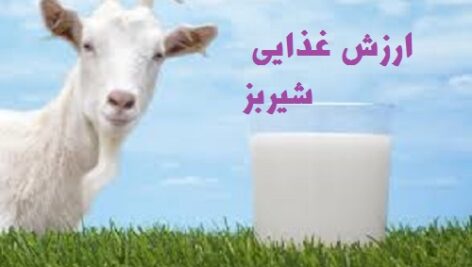 ارزش تغذیه ای ودرمانی شیر بز -مقاله به صورت word