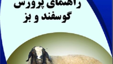 دانلود مقاله راهنمای پرورش گوسفند و بز pdf ( مجموعه  آموزشی کامل )