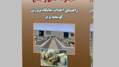 دانلود اصول احداث جایگاه مناسب پرورش گوسفند و بز  pdf