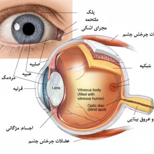 طرح جابر ساختمان چشم