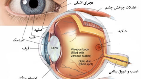 طرح جابر ساختمان چشم