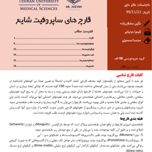 دانلود جزوه کامل قارچ شناسی دانشگاه تهران