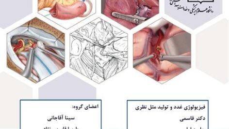 دانلود جزوه فیزیولوژی غدد و تولید مثل نظری دانشگاه شهید بهشتی