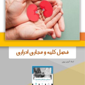 دانلود جزوه پرستاری کلیه بزرگسالان دانشگاه تبریز