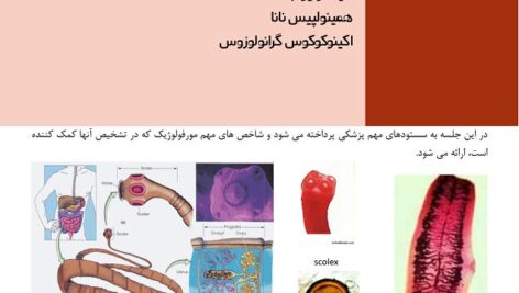دانلود جزوه و نمونه سوال انگل شناسی عملی دانشگاه علوم پزشکی تهران