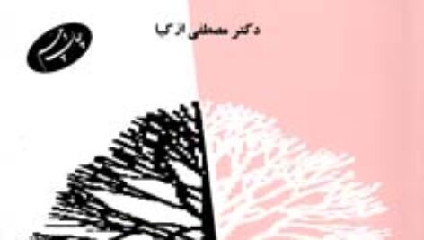 خلاصه کتاب جامعه شناسی توسعه دکتر مصطفی ازکیا