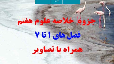 دانلود جزوه خلاصه علوم هفتم از فصل 1 تا 7 به صورت pdf