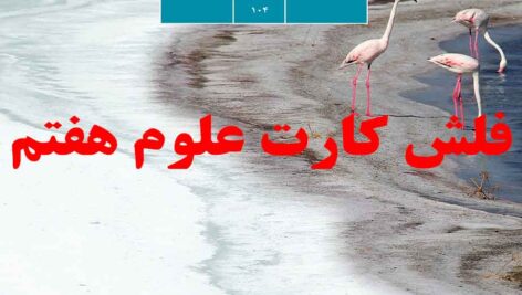 دانلود فلش کارت علوم هفتم pdf