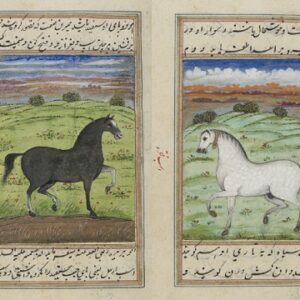 فرسنامه - خطی مصور