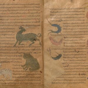 نزهت نامه علائی - نسخه خطی کتابخانه مک گیل