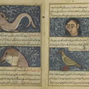 عجائب المخلوقات و غرائب الموجودات - نسخه کتابخانه ملی انگلیس