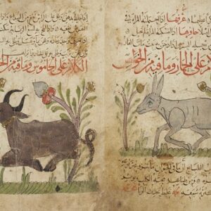 منافع الحیوان - نسخه خطی عربی