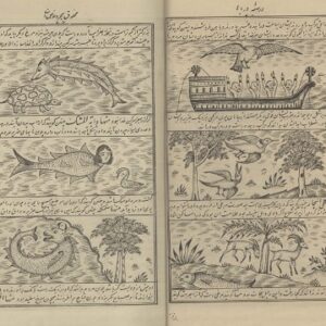 عجائب المخلوقات و غرائب الموجودات - نسخه خوانساری