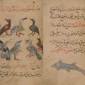 نعت الحیوان (منافع الحیوان) - خطی مصور