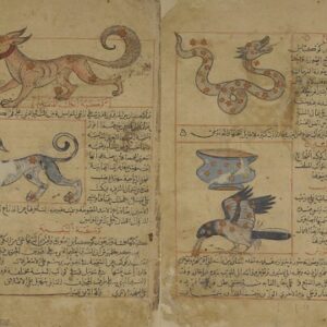عجائب المخلوقات و غرائب الموجودات - نسخه قطر