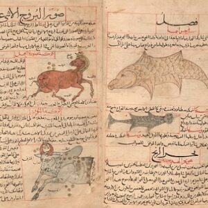 عجائب المخلوقات و غرائب الموجودات قزوینی - خطی عربی مصور