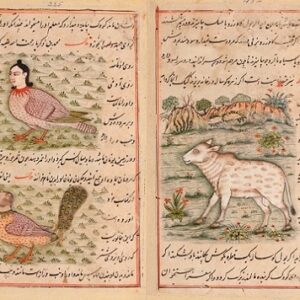فرخ نامه جمالی - نسخه خطی مصور