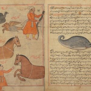عجائب المخلوقات و غرائب الموجودات - نسخه پنجاب