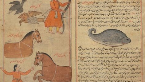 عجائب المخلوقات و غرائب الموجودات – نسخه پنجاب