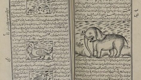 خواص الحیوان – نسخه دانشگاه مک گیل