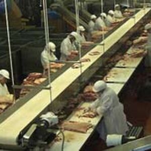 دانلود گزارش کاراموزی در کارخانه بیسکویت رشته صنایع غذایی