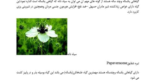 جزوه استاندارد مهارت کشت گیاهان دارویی