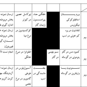 گزارش كارورزي(كارآموزي ) دامپزشكي  در روستا