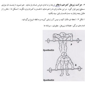 گزارش کارورزی باشگاه پرورش اندام بدنسازی ویرایش شهریور1401
