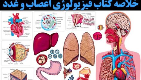 دانلود خلاصه کتاب فیزیولوژی اعصاب و غدد -ppt پاور پاینت- به همراه 14 دوره نمونه سوال با پاسخنامه