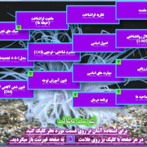 راهنمای عملی درمان فراشناختی