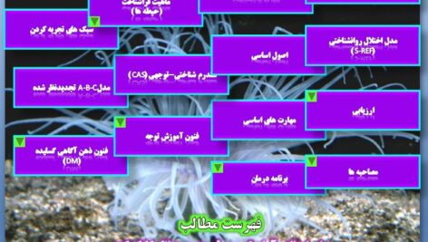 راهنمای عملی درمان فراشناختی