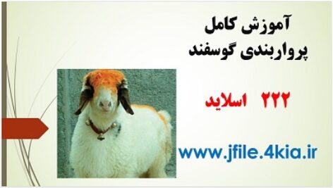 دانلود پاورپوینت آموزش کامل پرواربندی گوسفند – تصویری و کاربردی