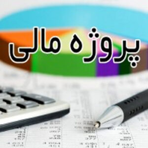 پروژه مالی مؤسسه تجاری آریان - ویرایش شده